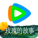 女士连裤袜什么牌子好穿怎么选购
